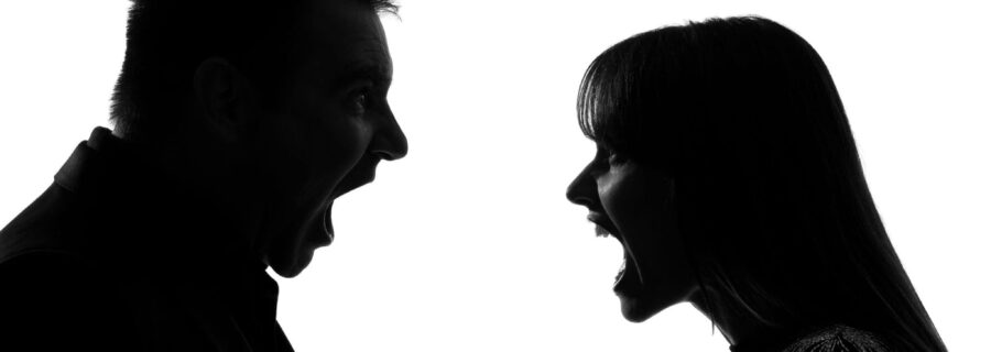 Cultura (bro)fética