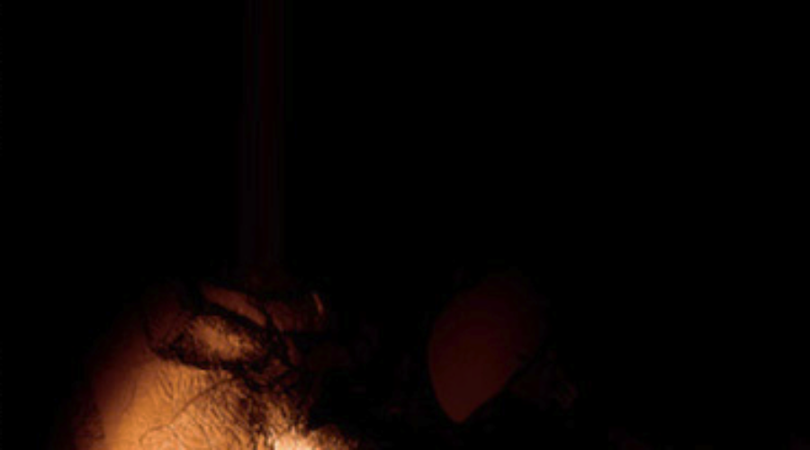 Brujas y Rebeldes, Reseña