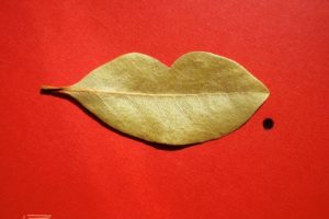 ¿Puerto Rico odia a las mujeres?