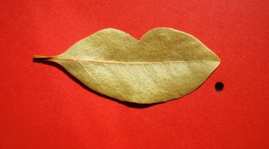 ¿Puerto Rico odia a las mujeres?