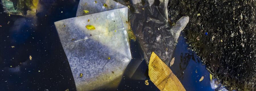 Durmiendo con el enemigo