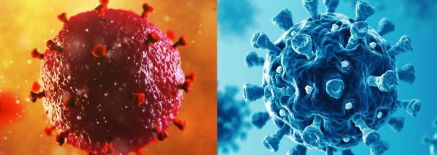 SIDA/COVID: Convergencias políticas e ideológicas